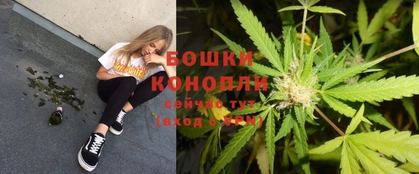 марки lsd Бородино