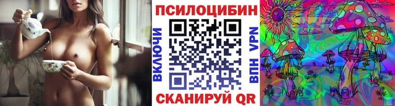 Галлюциногенные грибы Psilocybe  дарк нет наркотические препараты  Жуковка 